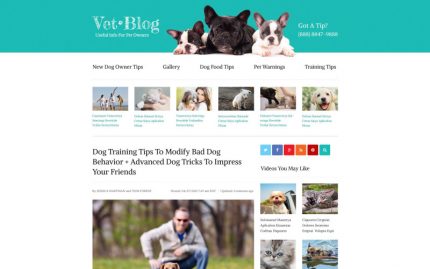 Veterinarian Blog Website Template